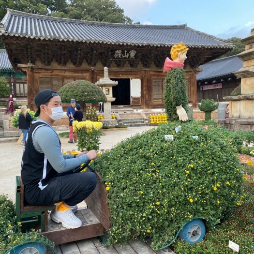 나이키 에어 맥스 95 x 꼼데가르송 옴므 화이트 CU8406-100 photo review