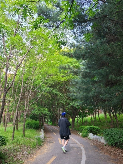 나이키 에어 줌 페가수스39 브라운 DH4071-101 photo review