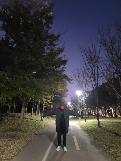 나이키 에어 줌 페가수스39 브라운 DH4071-101 photo review