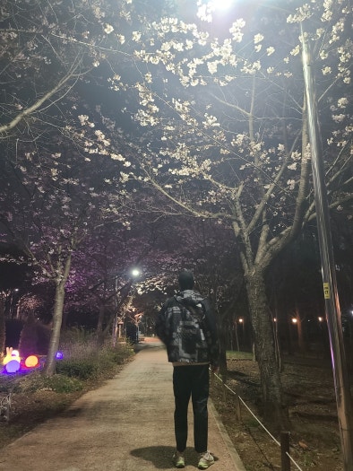나이키 에어 줌 페가수스39 브라운 DH4071-101 photo review