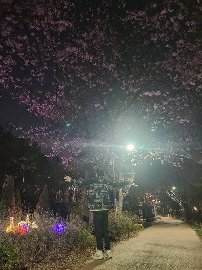 나이키 에어 줌 페가수스39 브라운 DH4071-101 photo review