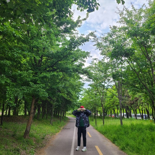 나이키 에어 줌 페가수스39 브라운 DH4071-101 photo review