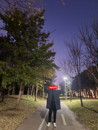 나이키 에어 줌 페가수스39 브라운 DH4071-101 photo review