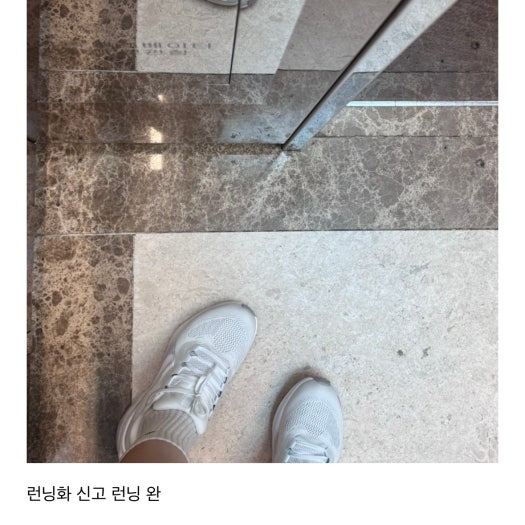 나이키 페가수스 41 남성 러닝화 FD2722-102 photo review