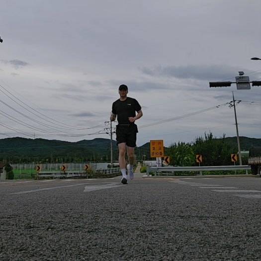 나이키 페가수스 41 남성 러닝화 FD2722-102 photo review