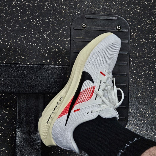 나이키 에어 줌 페가수스 40 엘리우드 킵초게 FJ0686-100 photo review