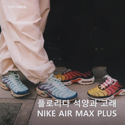 나이키 x 파타 x FC 바르셀로나 에어맥스 플러스 쿨레르스 델 몬 FN8260-001 photo review