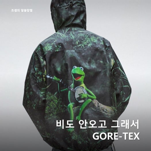 나이키 ACG 마운틴 플라이 2 로두 고어텍스 등산화 트레킹화 HF6245-003 photo review