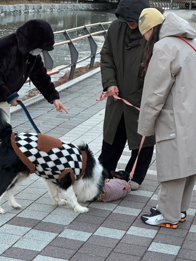 나이키 샥스 R4 브라이트 만다린 HQ1988-003 photo review