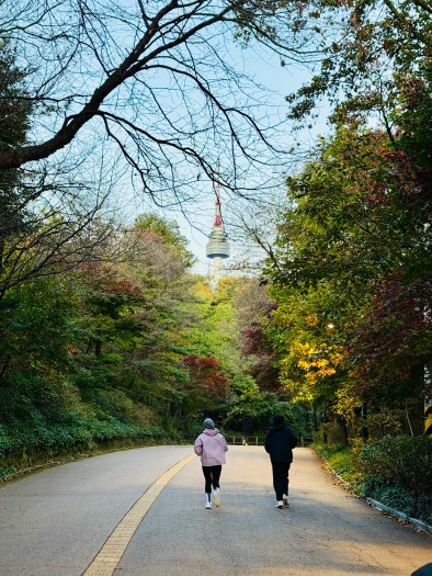 나이키 보메로 플러스 여성 로드 러닝화 HV8154-102 photo review