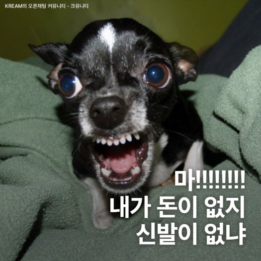 아디다스 네오 VL 코트 2.0 운동화 크림 가넷 ID6016 photo review