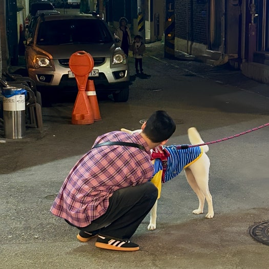 아디다스 핸드볼 스페지알 - 코어 블랙:클리어 핑크 / IE5897 photo review