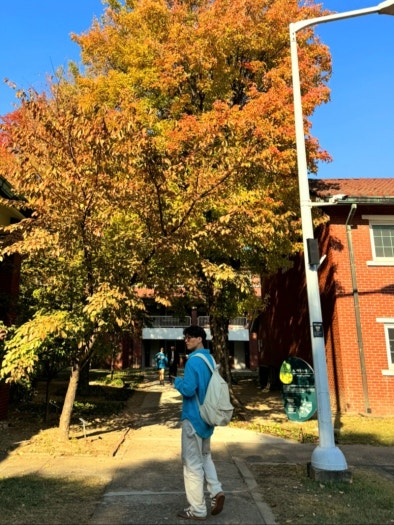 아디다스 핸드볼 스페지알 W IF6490 브라운 photo review