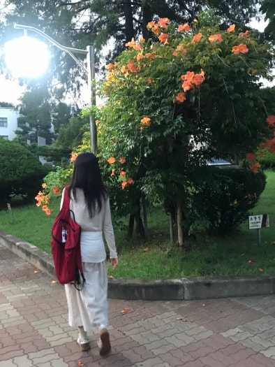 아디다스 핸드볼 스페지알 W IF6490 브라운 photo review