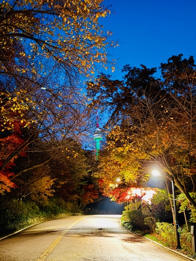 해외나이키 보메로 플러스 런닝화 IH2268-100 photo review