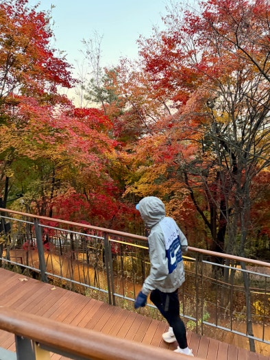 해외나이키 보메로 플러스 런닝화 IH2268-100 photo review