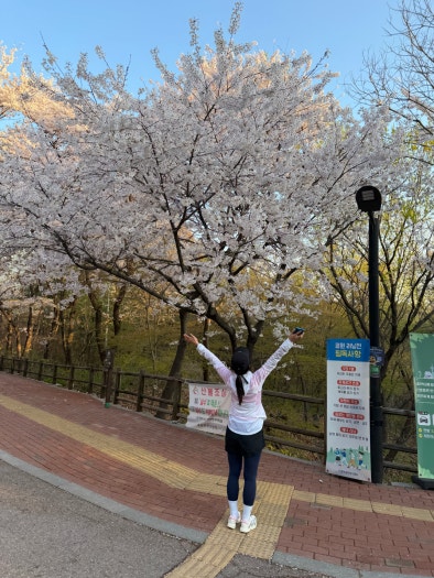 아디다스 러닝화  아디제로 아디오스 프로 4 JQ4445 photo review
