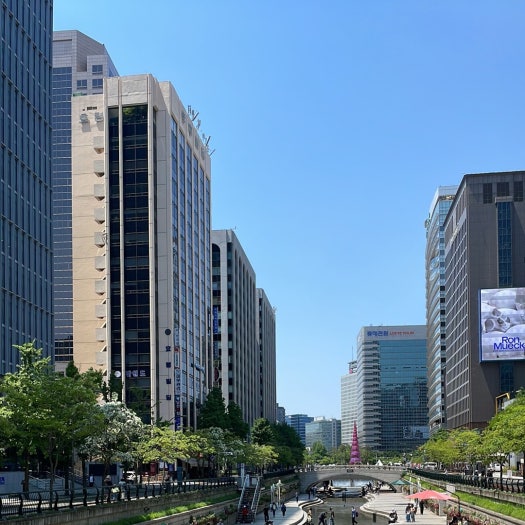 아식스 러닝화 노바블라스트 5 슈팅씨 블루 파랑 1011B974-400 photo review