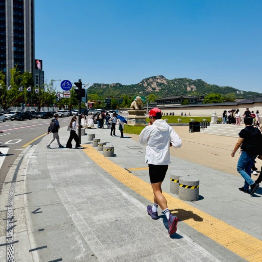 아식스 노바블라스트 5 런닝화 퍼플 보라 1011B974-500 photo review