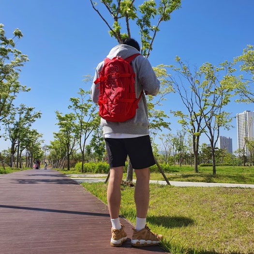 나이키 에어 모어 업템포 플랙스 AA4060-200 photo review