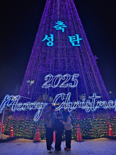 에어 조던 1 레트로 로우 OG 울프 그레이 CZ0790-110 photo review