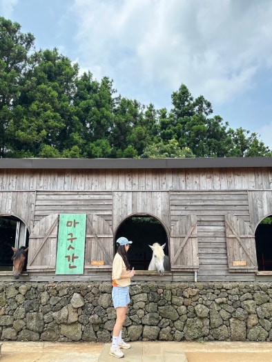 나이키 줌 보메로 5 포톤 더스트 앤 photo review