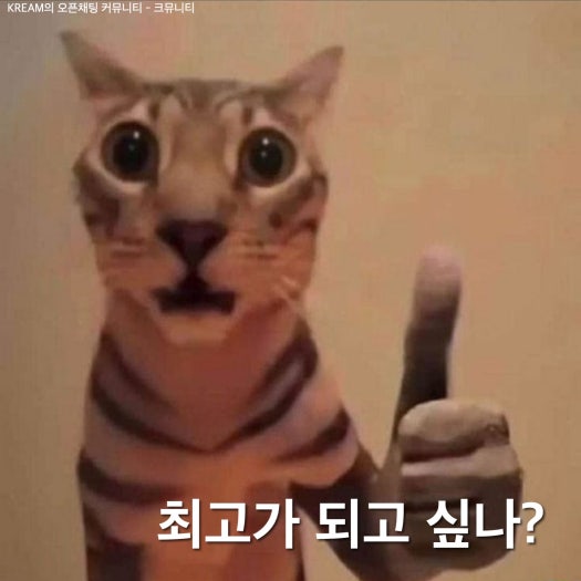 나이키 알파플라이 3 남성 런닝화 마라톤화 FD8311-100 photo review
