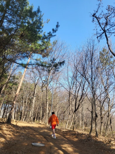 나이키 줌 보메로 5 우먼스 페일 아이보리 FQ6868-111 photo review