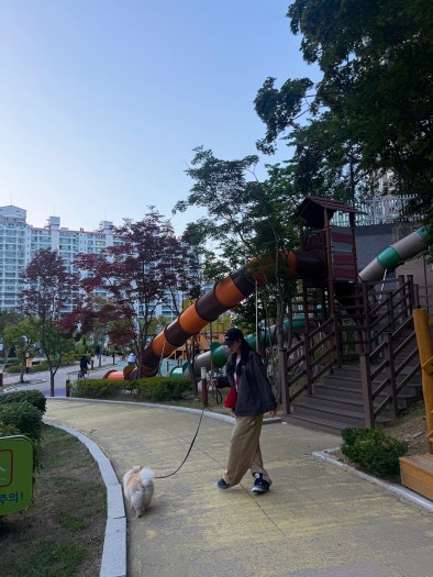 에어 조던 4 레트로 피어 FQ8138-002 photo review