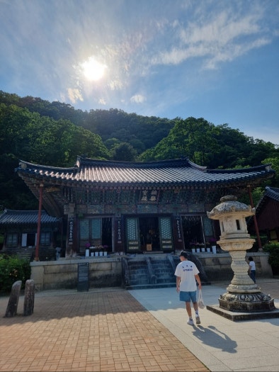 나이키 P-6000 우먼스 메탈릭 서밋 화이트 울프 그레이 FV6603-101 photo review