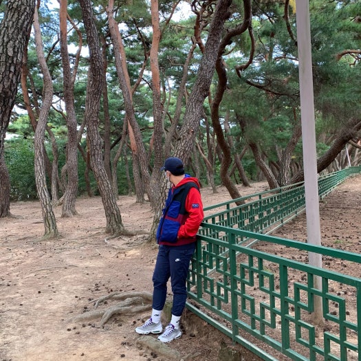 나이키 에어맥스 95 그레이프 스네이크스킨 photo review
