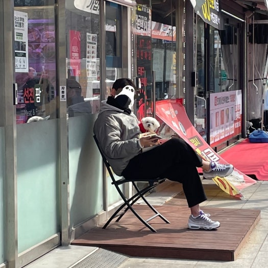 나이키 에어맥스 95 그레이프 스네이크스킨 photo review