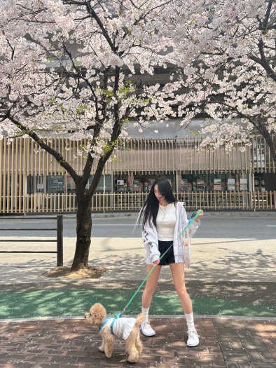 나이키 x 자크뮈스 J 포스 1 로우 LX SP photo review