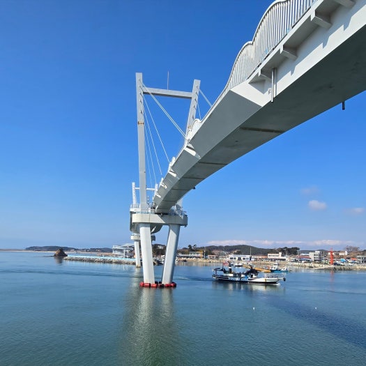 나이키 줌 보메로 5 우먼스 코블스톤 앤 플랫 퓨터 FB8825-001 photo review