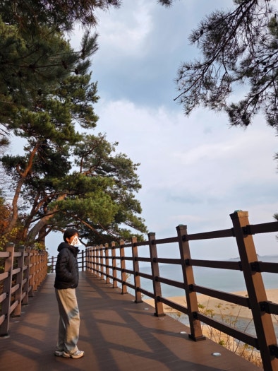 나이키 V2K 런 퓨어 플래티넘 울프 그레이 photo review