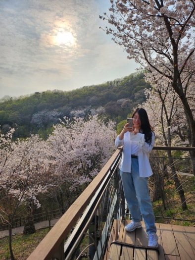 나이키 P-6000 우먼스 메탈릭 서밋 화이트 울프 그레이 FV6603-101 photo review