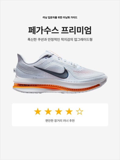 【최강 페가수스】나이키 페가수스 프리미엄 에어스케이프 photo review