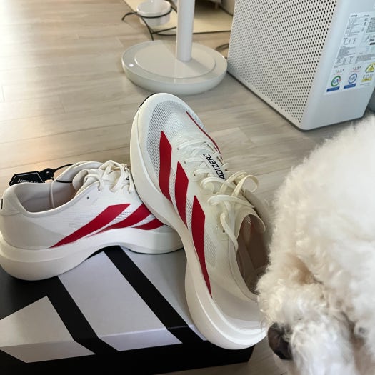 아디다스 아디제로 EVO SL 로드 런닝화 photo review