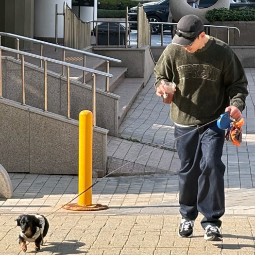 뉴발란스 993 키스그레이 (표준폭) 런닝화 MR993GL photo review