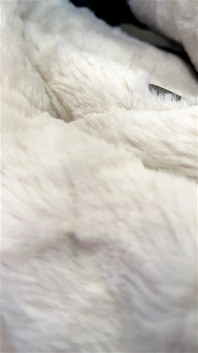 (고품질 추천) 날씬해보이는 여성 두꺼운 롱 밍크털 카라 코트 가을 겨울 편한 뽀글이 더블버튼 디자인 고급 패딩 보온 방한 아우터 융털 인조밍크 빅카라 심플 베이직 여자 외투 photo review